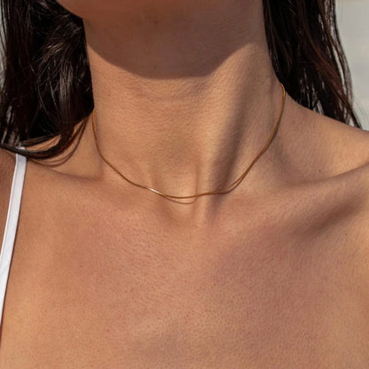 OGRLICA SA POZLATOM HEDERA 🥂