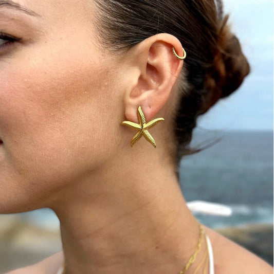 POZLAĆENE MINÐUŠE STARFISH 🥂