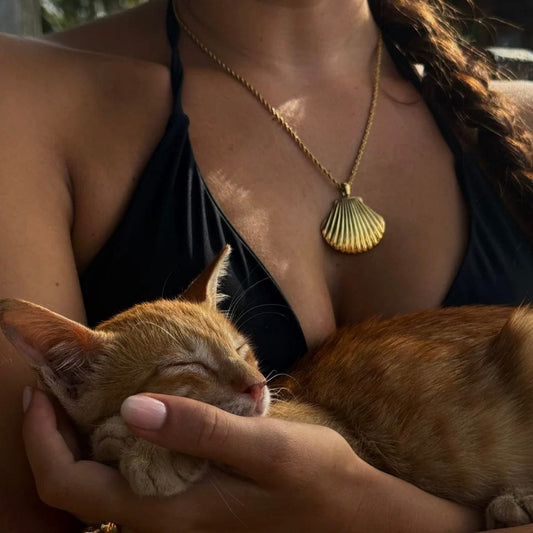 ŽENSKA OGRLICA SA POZLATOM ŠKOLJKA🥂